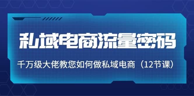 私域电商流量密码：千万级大佬教您如何做私域电商（12节课）-三贰项目网