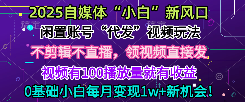 2025每月躺赚5w+新机会，闲置视频账号一键代发玩法，0粉不实名不剪辑，领了视频直接发，0基础小白也能日入300+-三贰项目网