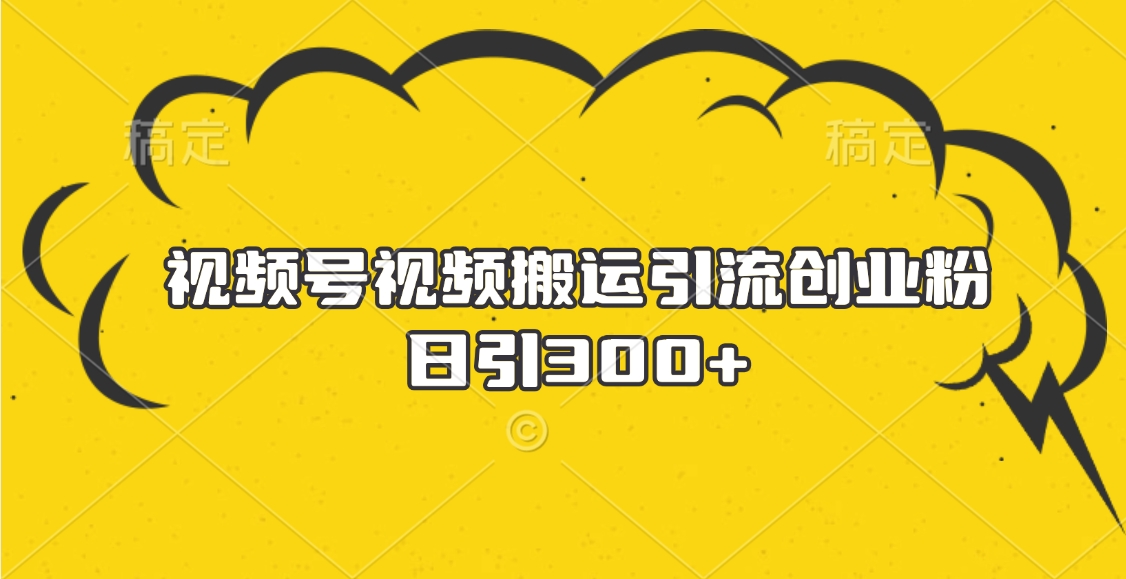 视频号视频搬运引流创业粉，日引300+-三贰项目网