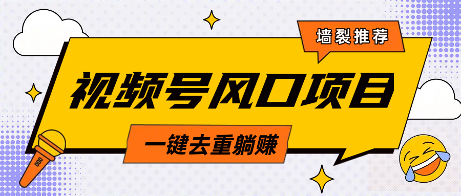 视频号风口蓝海项目，中老年人的流量密码，简单无脑，一键去重，轻松月入过万-三贰项目网