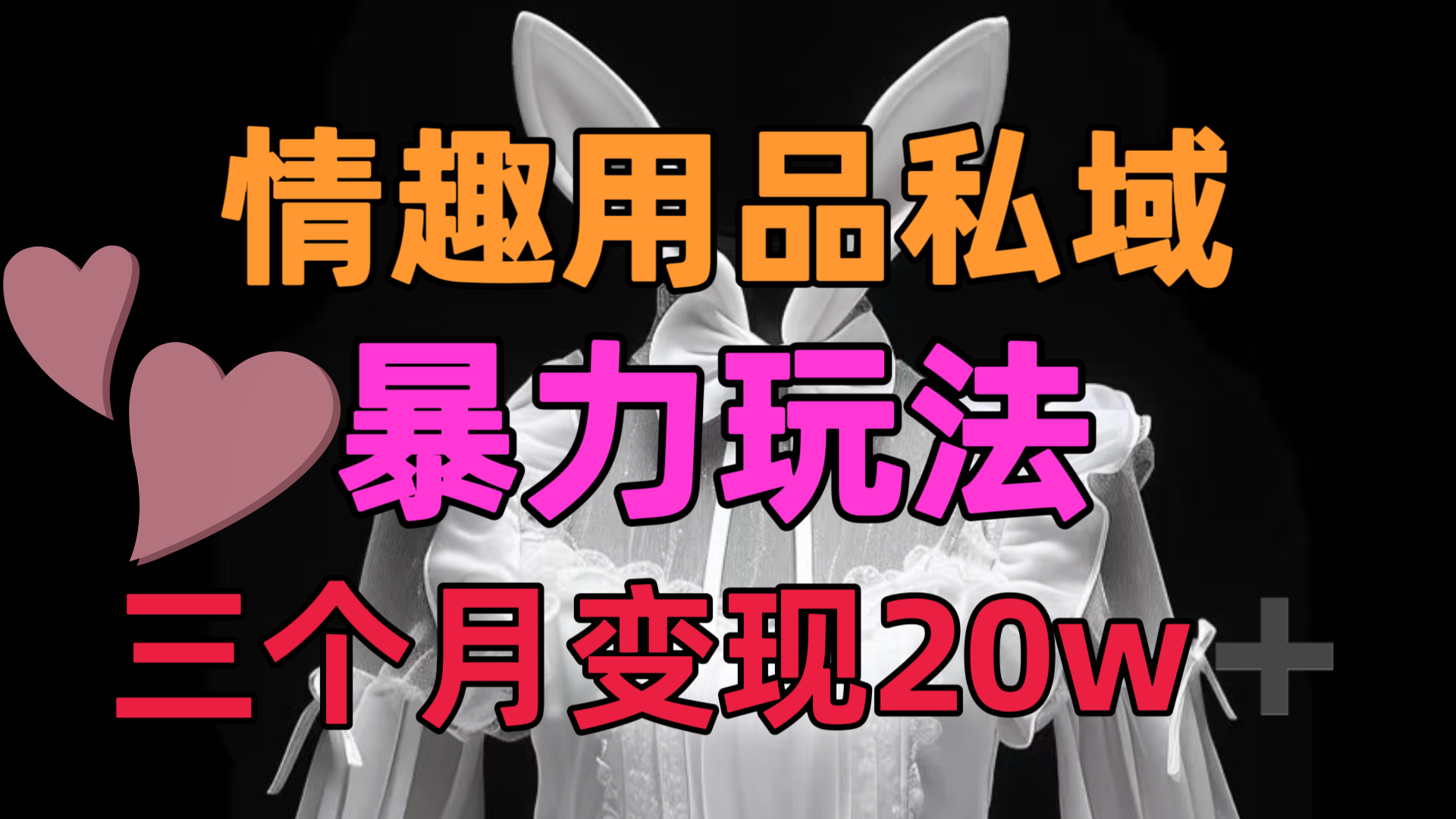 情趣用品私域，25年最新暴力玩法，三个月变现20w➕-三贰项目网