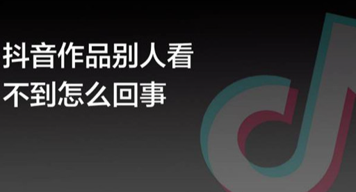 抖音发布的作品为什么别人看不到？如何让抖音作品公开可见？-三贰项目网