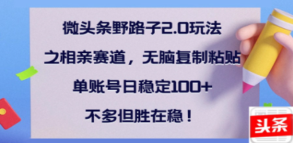 全网首发微头条野路子2.0玩法之相亲赛道，无脑搬砖复制粘贴，单账号日稳定300+保姆级教程-三贰项目网