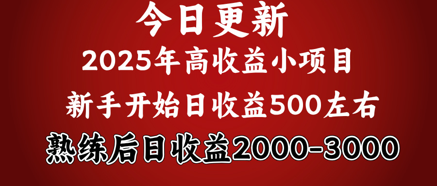 2025开年好项目，新手日收益500+ 熟练掌握后，日收益平均2000多-三贰项目网