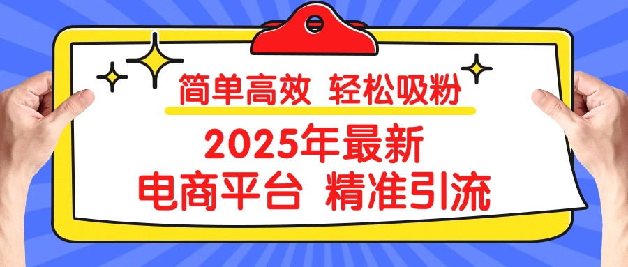 2025年最新电商平台精准引流 简单高效 轻松吸粉-三贰项目网