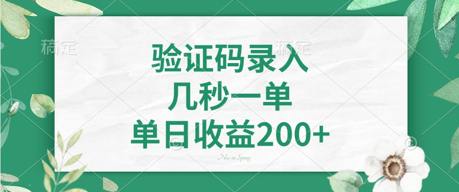 验证码录入，几秒一单，单日收益200+-三贰项目网