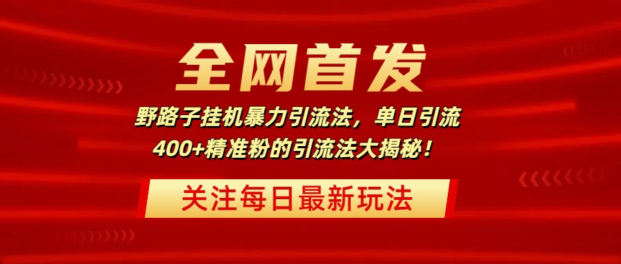 全网首发，野路子挂机暴力引流法，单日引流400+精准粉的引流法大揭秘！-三贰项目网