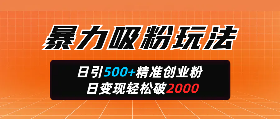 暴力吸粉玩法，日引500+精准创业粉，日变现轻松破2000-三贰项目网