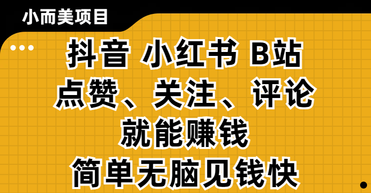 小而美的项目，抖音、小红书、B站视频点赞、关注、评论就能赚钱，简单无脑立见收益！妥妥的零撸项目-三贰项目网