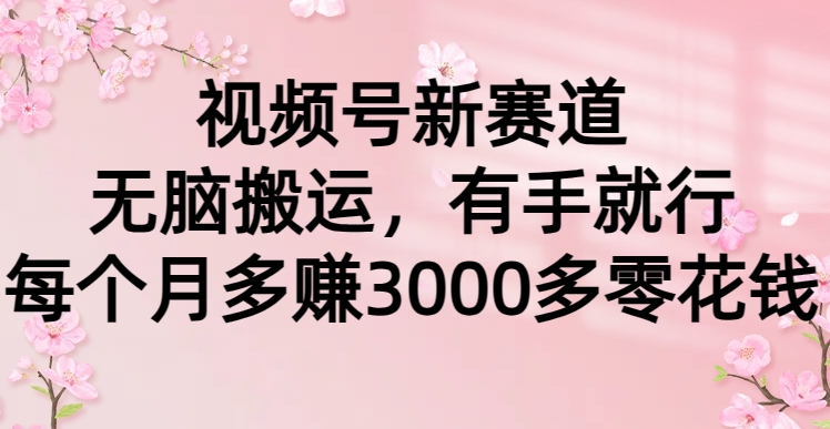 视频号新赛道，无脑搬运，有手就行，每个月多赚3000多零花钱-三贰项目网